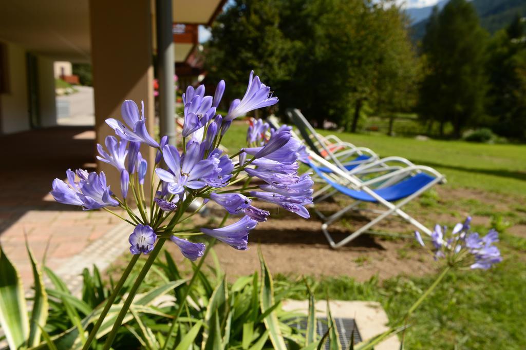 Aparthotel La Casa Al Noce à Mezzana  Chambre photo